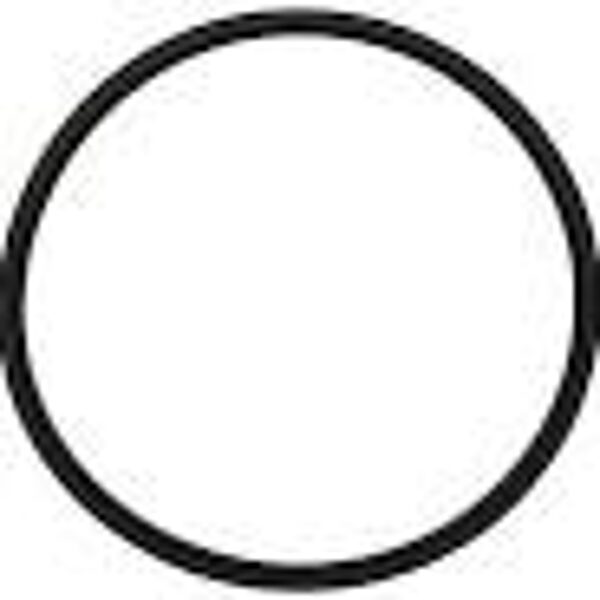 23010301 PIERŚCIEŃ USZCZELNIAJĄCY HORSC